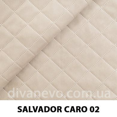 тканина SALVADOR CARO / Сальвадор Каро (Silk)