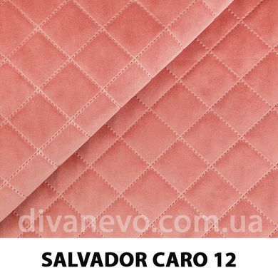 тканина SALVADOR CARO / Сальвадор Каро (Silk)