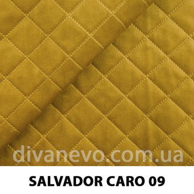 тканина SALVADOR CARO / Сальвадор Каро (Silk)