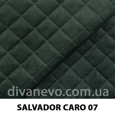 тканина SALVADOR CARO / Сальвадор Каро (Silk)