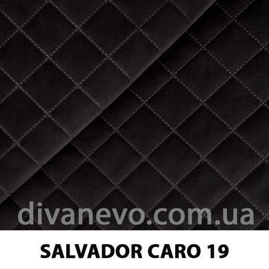 тканина SALVADOR CARO / Сальвадор Каро (Silk)