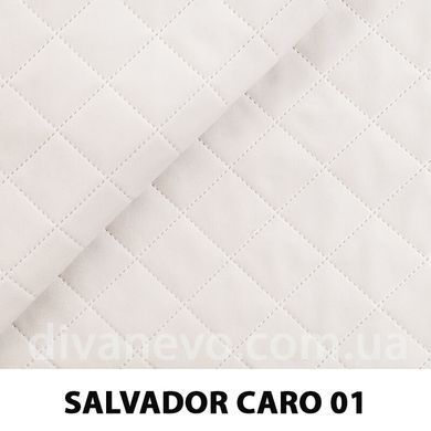 тканина SALVADOR CARO / Сальвадор Каро (Silk)