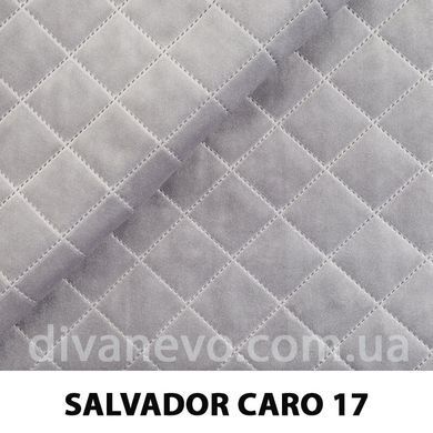 тканина SALVADOR CARO / Сальвадор Каро (Silk)