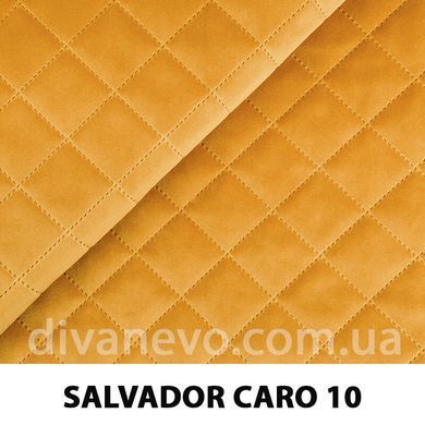 тканина SALVADOR CARO / Сальвадор Каро (Silk)