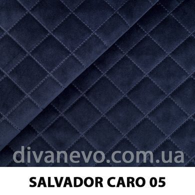 тканина SALVADOR CARO / Сальвадор Каро (Silk)