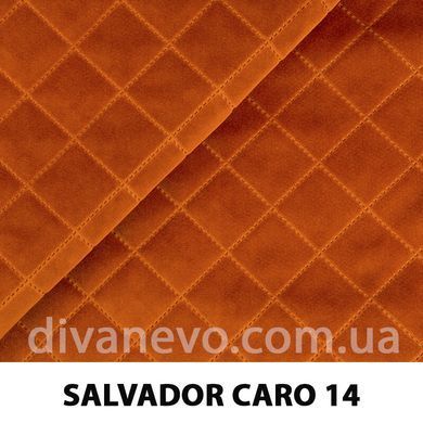 тканина SALVADOR CARO / Сальвадор Каро (Silk)