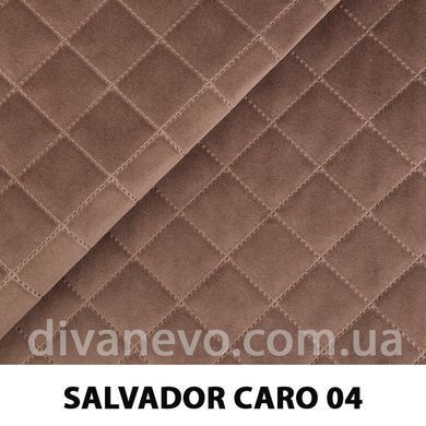 тканина SALVADOR CARO / Сальвадор Каро (Silk)