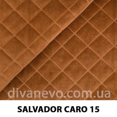тканина SALVADOR CARO / Сальвадор Каро (Silk)