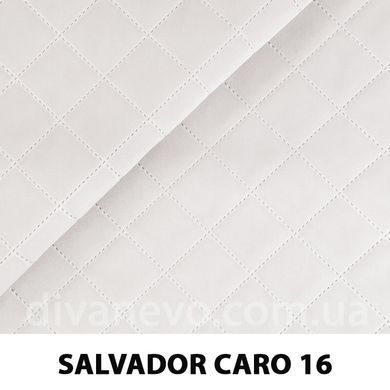 тканина SALVADOR CARO / Сальвадор Каро (Silk)