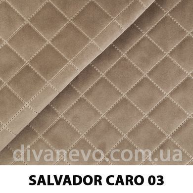 тканина SALVADOR CARO / Сальвадор Каро (Silk)