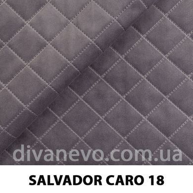 тканина SALVADOR CARO / Сальвадор Каро (Silk)