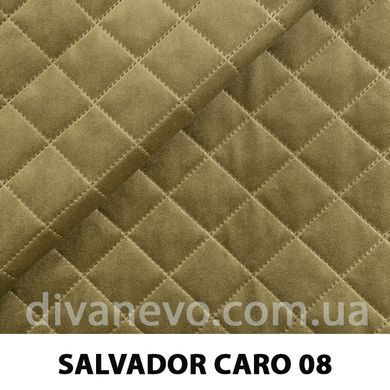 тканина SALVADOR CARO / Сальвадор Каро (Silk)