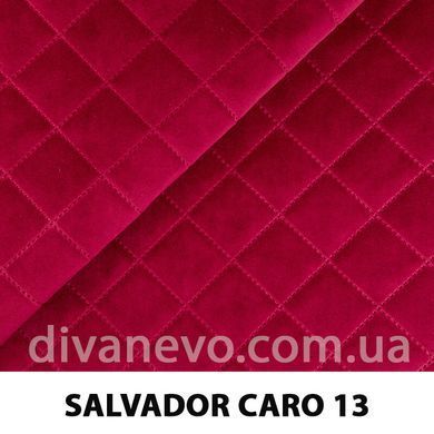 тканина SALVADOR CARO / Сальвадор Каро (Silk)