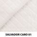 тканина SALVADOR CARO / Сальвадор Каро (Silk)