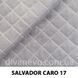 тканина SALVADOR CARO / Сальвадор Каро (Silk)
