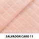 тканина SALVADOR CARO / Сальвадор Каро (Silk)